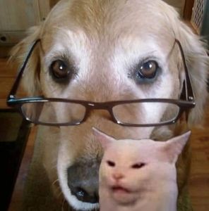 Meet your Posher, Scott j.